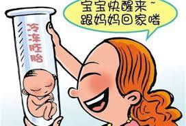 包生男孩中介机构